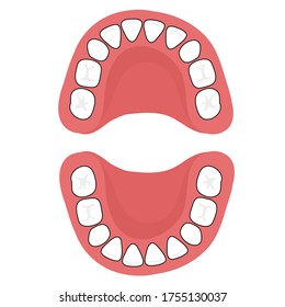 The chart shows when your baby's primary teeth.