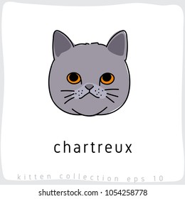 Chartreux : Cat Breed Collection : Vector Illustration