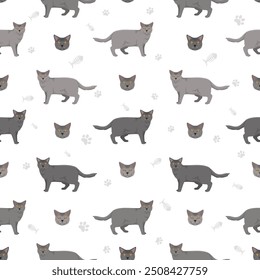 Chartreux Cat seamless pattern. All coat colors set.  All cat breeds characteristics infographic. Vector illustration