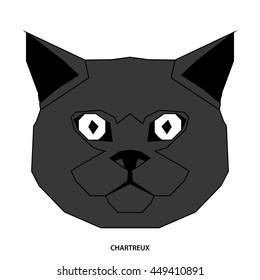 Chartreux, Isolated cat breed, Vector illustration