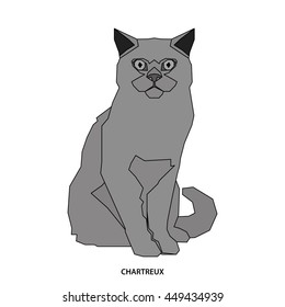 Chartreux, Isolated cat breed, Vector illustration