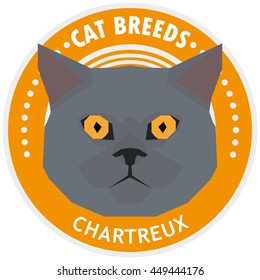 Chartreux, Isolated cat breed, Vector illustration