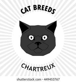 Chartreux, Isolated cat breed, Vector illustration