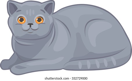 Chartreux Vector Illustration