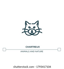 chartreux vector line icon. Simple element illustration. chartreux outline icon from cat set concept. Can be used for web and mobile
