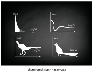 Charts and Graphs, Illustration Animal Cartoon of Fat Tailed and Long Tailed Distributions Chart on Black Chalkboard Background.