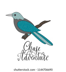 Chase adventure. Cartoon nature vector card with a bird and hand drawn lettering.