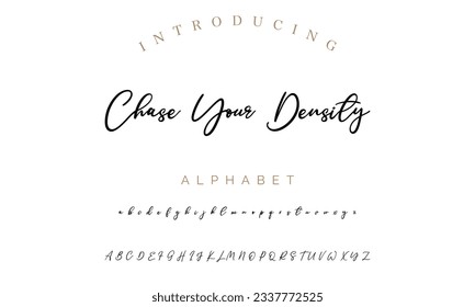 Chase Youth Density signature font alphabet vector illustration isolated Background