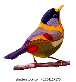 Chased wagtail. Mutt Flycatchers. A bird with a bright feather sitting on a branch. The genus of passerines of birds from the Australian family of charms.
