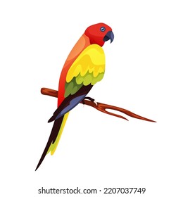 Chattering Lory parrot, vector icon or clipart.