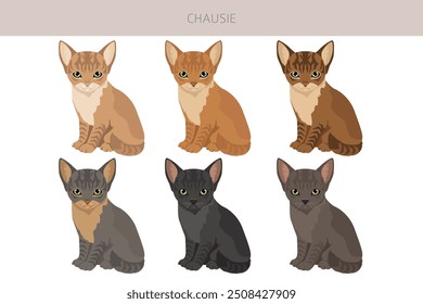 Chausie Cat Clipart. Alle Fellfarben eingestellt.  Alle Katze Rassen Merkmale Infografik. Vektorgrafik