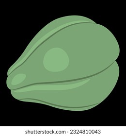 Chayote fruit. Sechium edule. On black background.