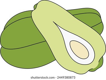 Chayote Isolated Vector Illustration Hand Drawn 