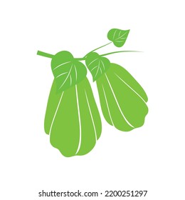 Ilustración vectorial del logotipo de Chayote