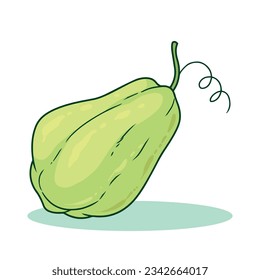 Chayote is one of the most popular vegetables in Southeast Asia.