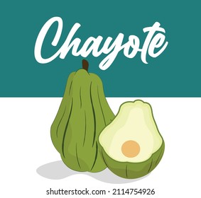 chayote vector illustration with section, beautiful square background design
