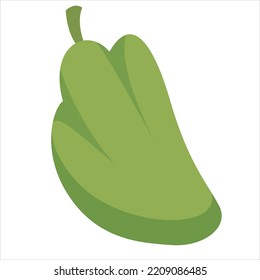 Chayote Gemüse leckere Vektorgrafik