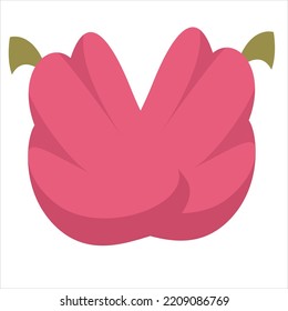 Chayote vegetable delicious vector illustration