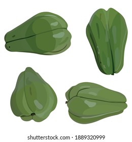 Chayote Vegetable Illustration Vector Set Taken Several Angles Isolated On White Background Good To Use For Food Magazine, Brochure And Ingredients