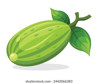 Ilustración plana del vector de las verduras de Chayote sobre fondo blanco