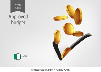 Check icon with flying Nigerian Naira coins, finance concept. Vector illustration for print, websites, web design, mobile app, infographics.