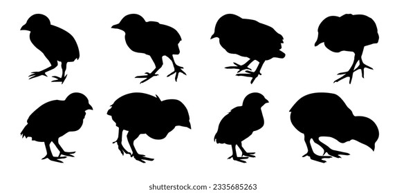 check silhouette design. Black simple chicken illustration in set