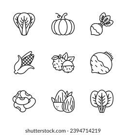 Comprobar este hermoso e increíble conjunto de iconos de frutas y verduras