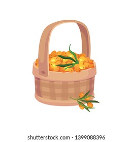 Checkered basket with handle full of sea buckthorn berries. Vector illustration on white background.