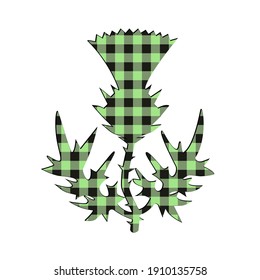 
Checkered Green thistle  St. Patrick's Day colors. Symbol, icon, design element. Vector illustration on white background.