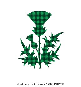 
Checkered Green thistle  St. Patrick's Day colors. Symbol, icon, design element. Vector illustration on white background.
 