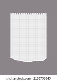 Checkered torn out notebook page flat style, vector illustration isolated on gray background. Blank paper for text, design and notes with ragged edge. Paper piece