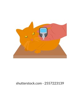 Checking Diabetes, Veterinary Flat Vector Illustration