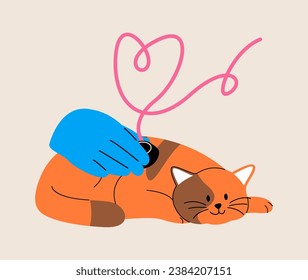 Checking health of a cat with a stethoscope in hospital. Colorful vector illustration
