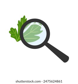 Checking parsley with a magnifying glass. Analyzing food with a magnifying glass during quality control. Food analysis concept