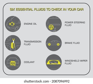 Checklist. Six essential fluids to check in your car. Infographics. Vector illustration.