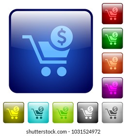 Checkout with Dollar cart icons in rounded square color glossy button set