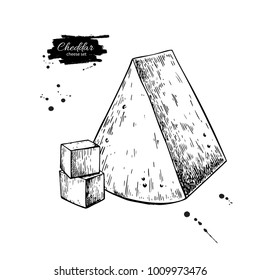 Cheddar cheese drawing. Vector hand drawn food sketch. Engraved triangle Slice and cube cut. Farm market product for label, poster, icon, packaging. Dairy vintage product