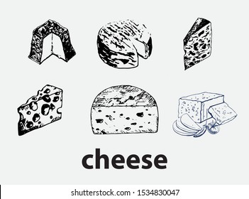 cheddar cheese hand draw vector