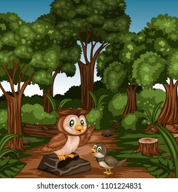 Cheerful Animals in Forest. Cute Cartoon Forest Animal Characters. Vector Illustration of an Owl Standing on Stone and a Nightingale