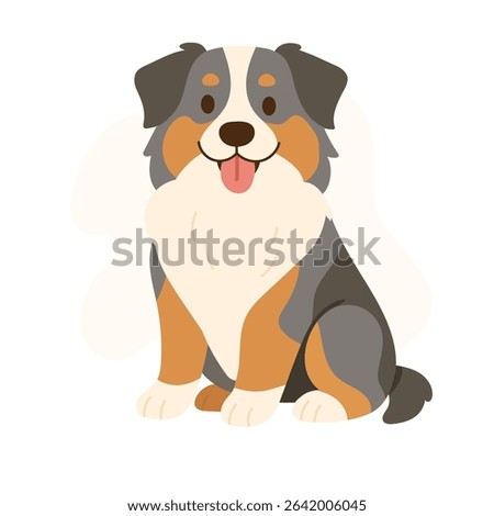 A cheerful Australian Shepherd sits with a bright smile, showcasing its unique coat colors and friendly demeanor in a playful environment.