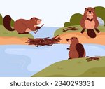 Cheerful beavers building dam on river, cartoon flat vector illustration. Cute wild animals. Funny beavers working together. Great for kids and nursery designs.