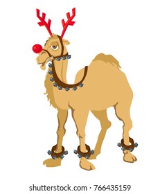 Cheerful camel in a deer costume from a Santa Claus harness on a white background isolated