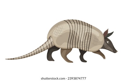 Cheerful cartoon armadillo, American wildlife and zoo animal, armored shell. Cute mascot design. Concept of kid education. Wild nature. Isolated on white background. Vector illustration