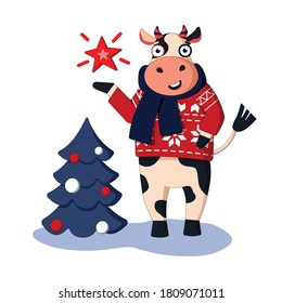 Cheerful cartoon bull in a red sweater and scarf with a star and Christmas tree. Vector illustration symbol of 2021. Happy New Year and Merry Christmas! Can be used for postcards, posters, invitations