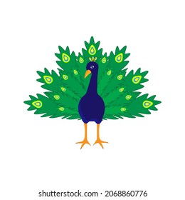 cheerful cartoon peacock on a white background, vector illustration