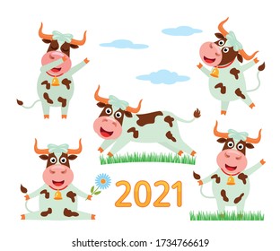 The cheerful character of the bull is a symbol of the Chinese new 2021. A large set of funny ox character with smile and dancing! Vector illustration in cartoon style.