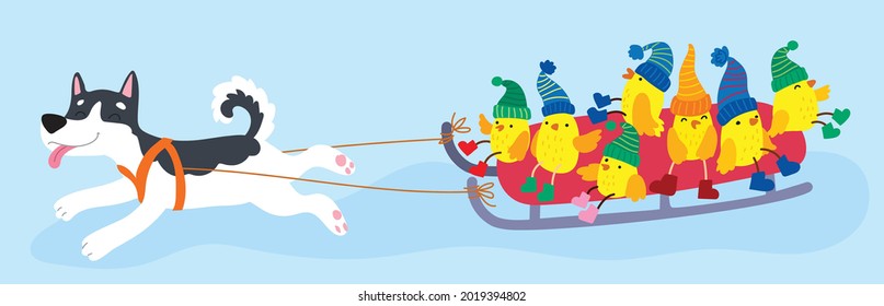 Cheerful chickens and a dog. Sledding. Winter and New Year. Christmas. Snowing. Colored scarf and hat.