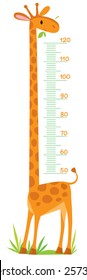 Cheerful children's giraffe meter wall from 50 to 120 centimeter