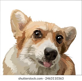 A cheerful corgi dog shows its tongue. Color vector illustration, dog head image.