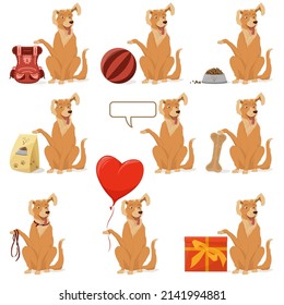 A cheerful cute dog is sitting with a raised paw with various objects. Golden retriever, a pet.  Set of vector illustrations, cartoon, complex flat, isolated on a white background